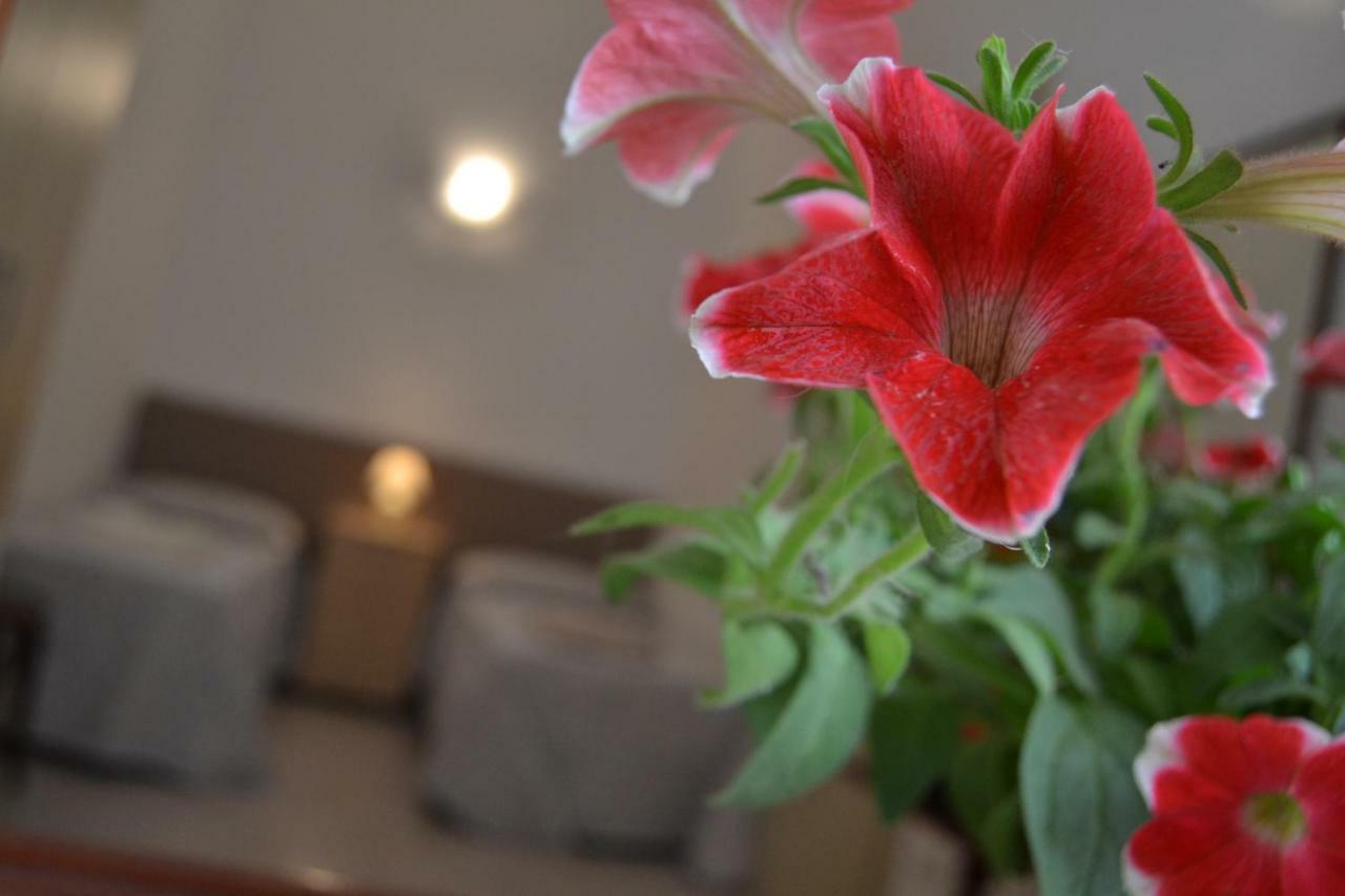 I Due Tesori Bed and Breakfast San Cesario di Lecce Εξωτερικό φωτογραφία